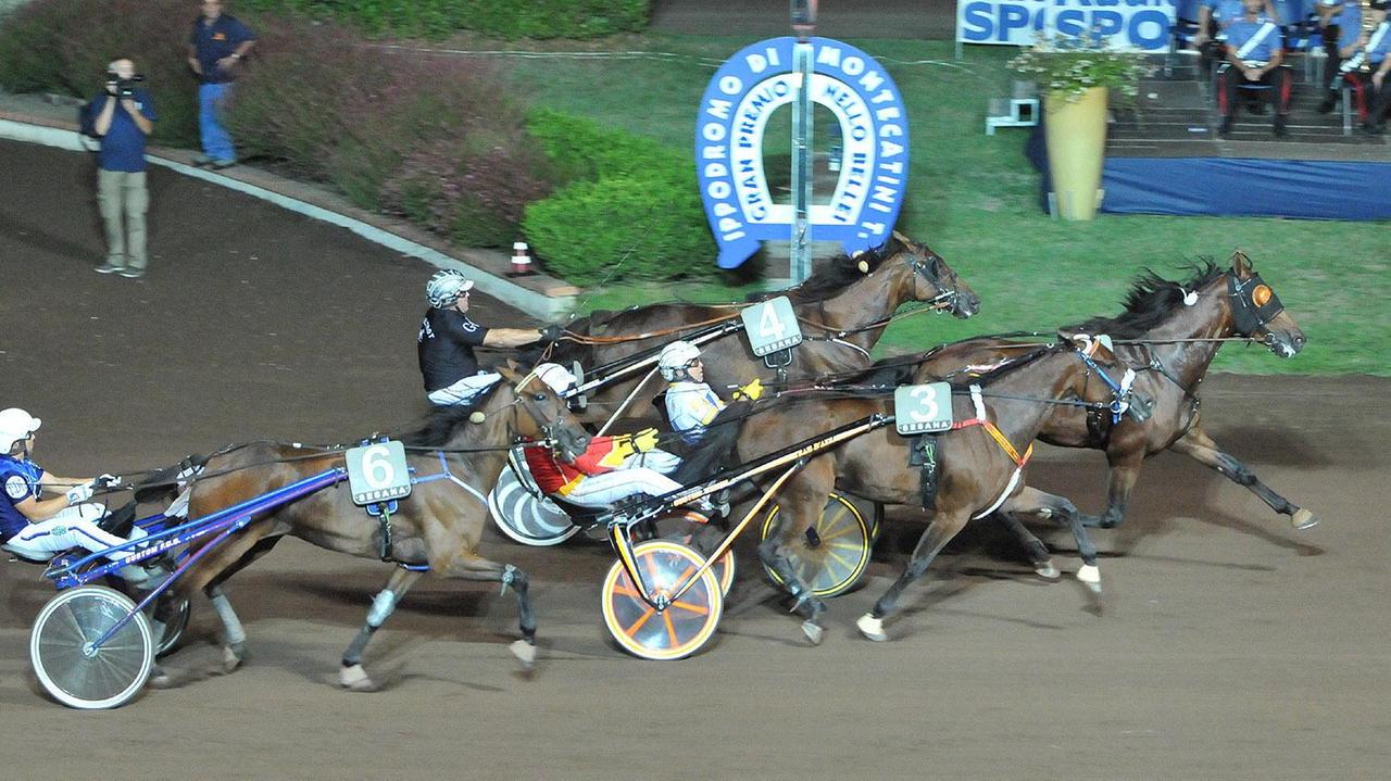 La volata con la vittoria finale di Santiago d'Ete nel Gp Nello Bellei (Foto Rosellini)