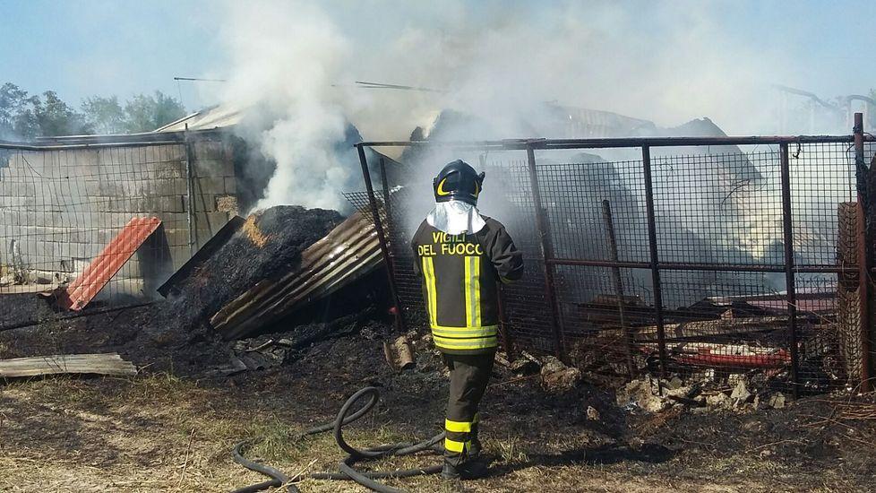 Cavriago, casolare a fuoco: muoiono tre cavalli 