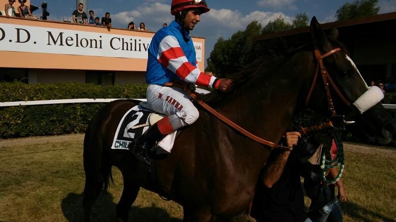 «Una legge specifica per rilanciare il settore»