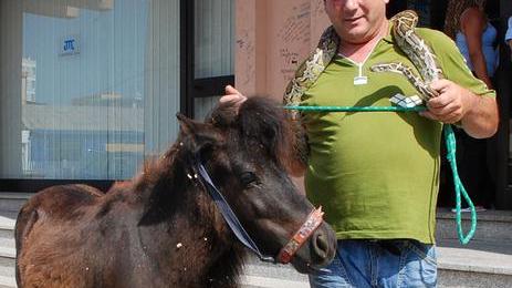 Coppia di animalisti accusa il Circo sardo, rissa a San Pantaleo