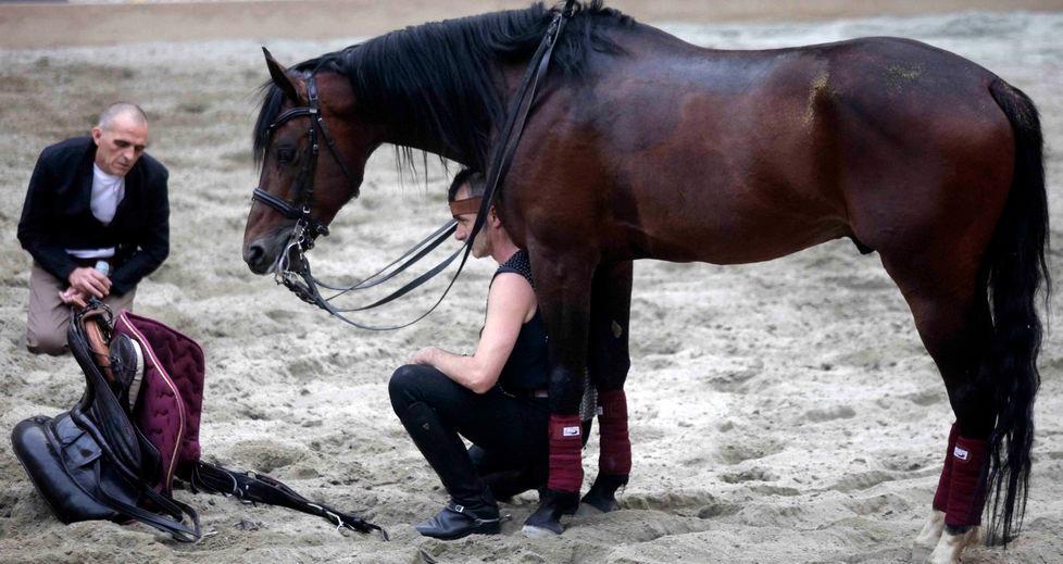 Tornano i “barbari equestri” di Giovanni Lindo Ferretti 