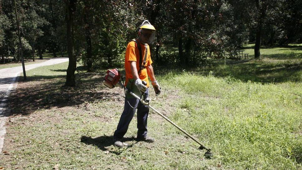 I cittadini-giardinieri di Massarosa protagonisti in tv