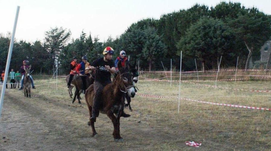 Corsa dell’Anello ma con gli asini 