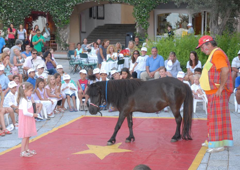 Botte a San Pantaleo parte una denuncia contro gli animalisti 