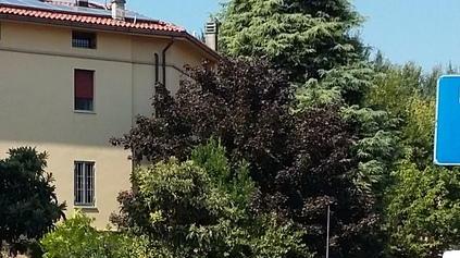 Esce di casa, i ladri colpiscono