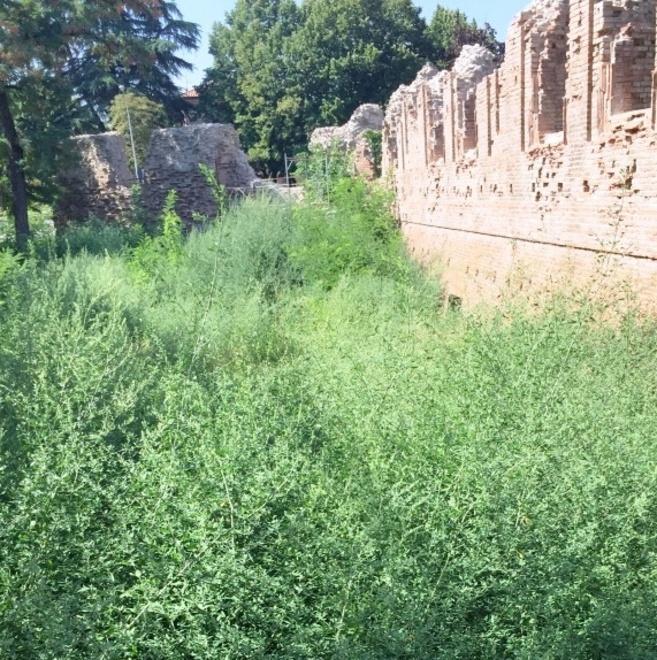 Cantiere chiuso e degrado nella Rocca dei Boiardo 
