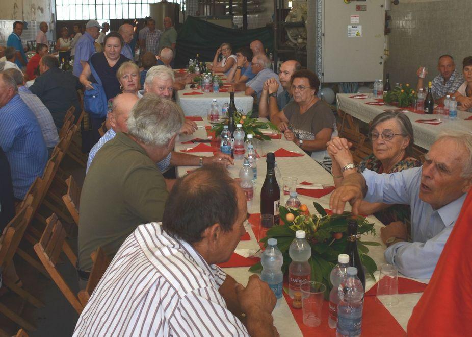 Si parte con le uve nere, sarà un’annata dolcissima 