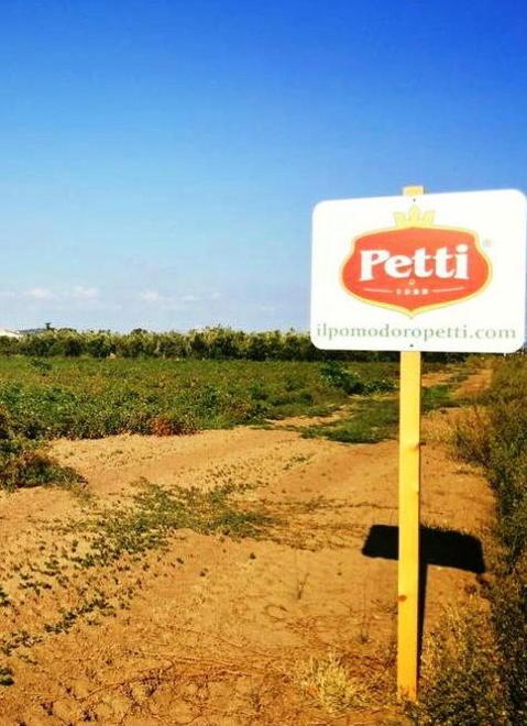 Pomodori: l’Italian food verso le 100mila tonnellate 