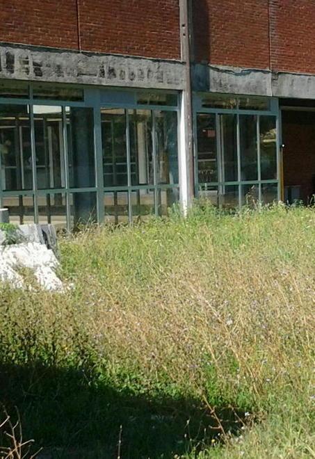 Degrado alle scuole Stagi e Lorenzini