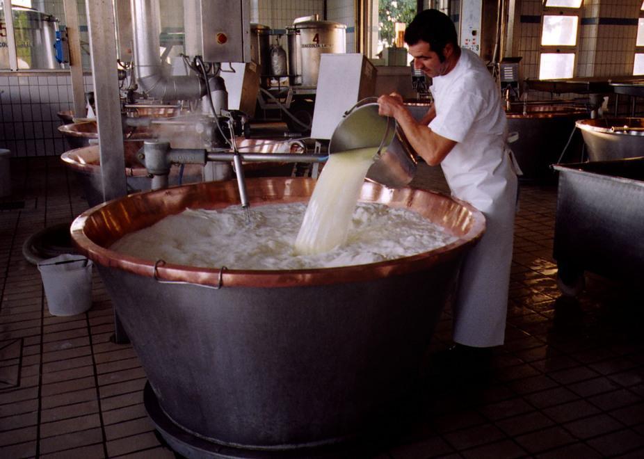 Reggiano di montagna a rischio “estinzione” 