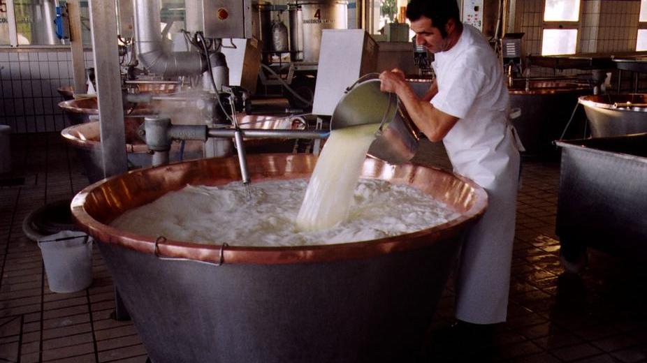 Reggiano di montagna a rischio “estinzione”