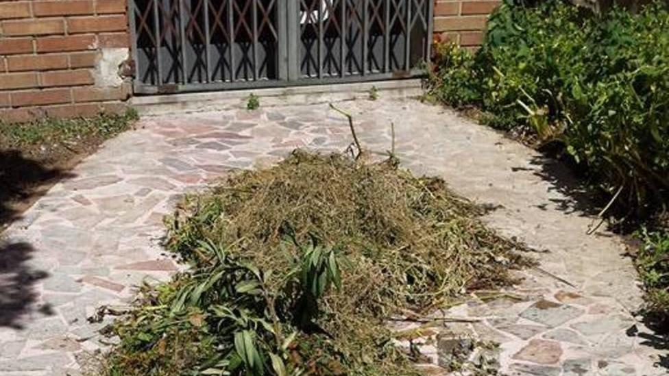 Escrementi sul vialetto, rabbia a Paganico