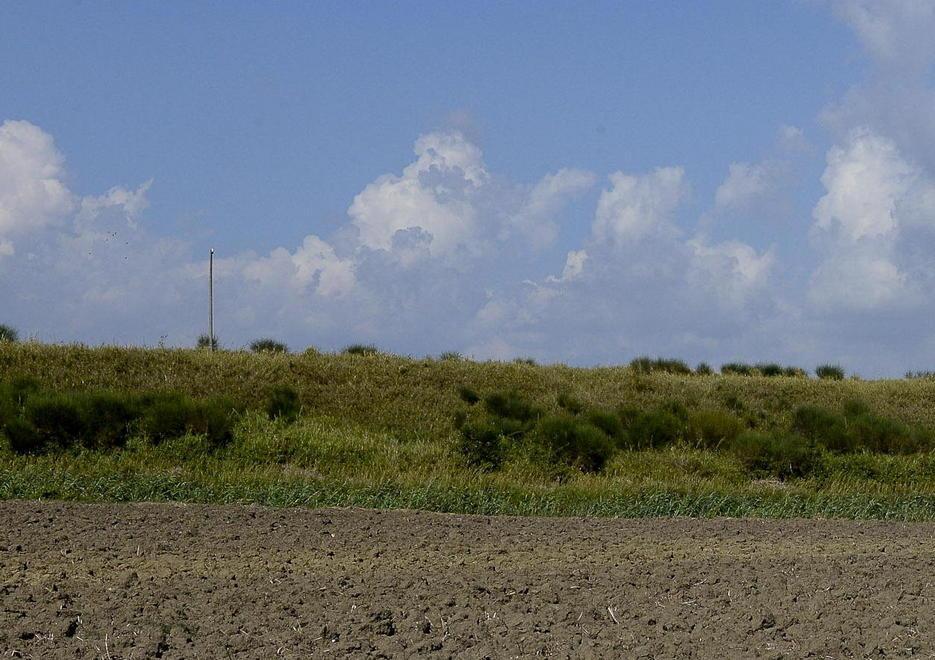 Cento chili d’erba coltivati sul canale dell’ex Diversivo 
