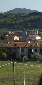 Aree verdi a Ottana, l’elenco aggiornato delle aziende
