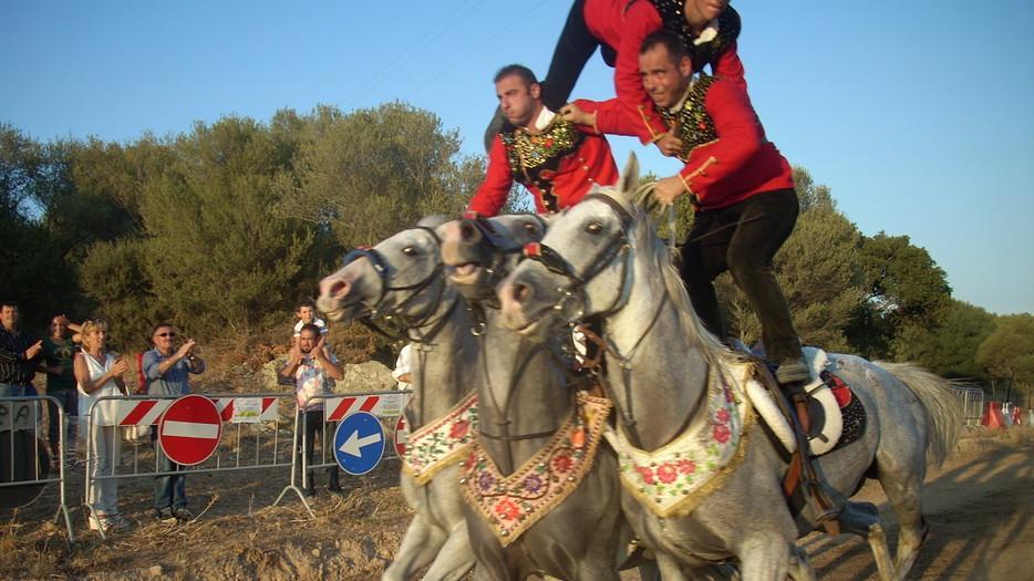 Santa Rosa a Sa Cialda, grande successo per le pariglie