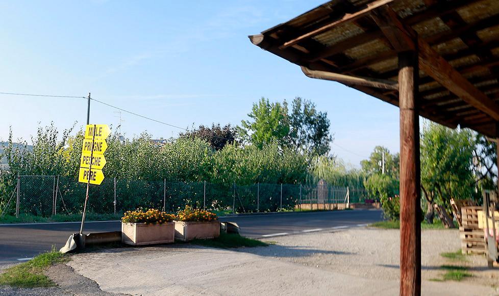 L’agricoltore ha sparato all’auto dei ladri