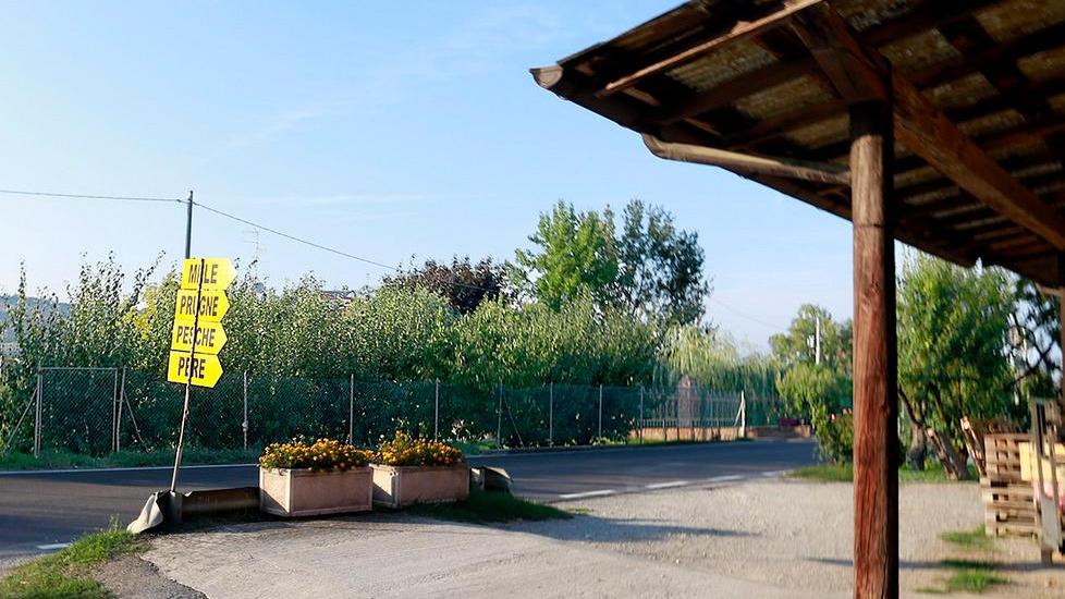 L’agricoltore ha sparato all’auto dei ladri