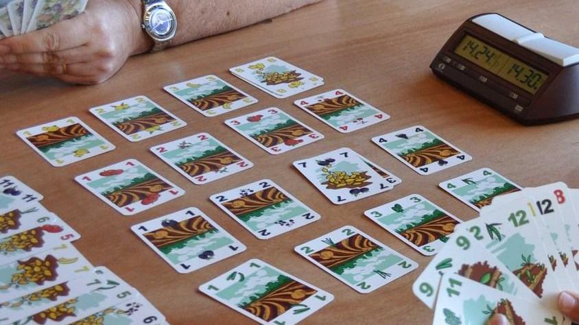 Negli sport della mente Daniele è un oro olimpico