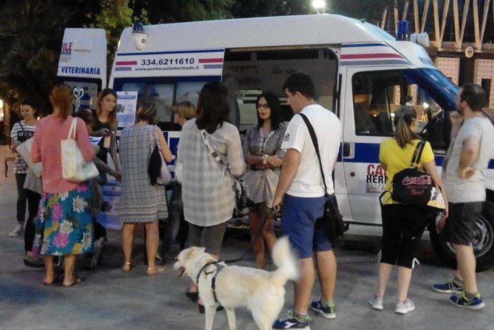 In duecento per Lucky e l’ambulanza