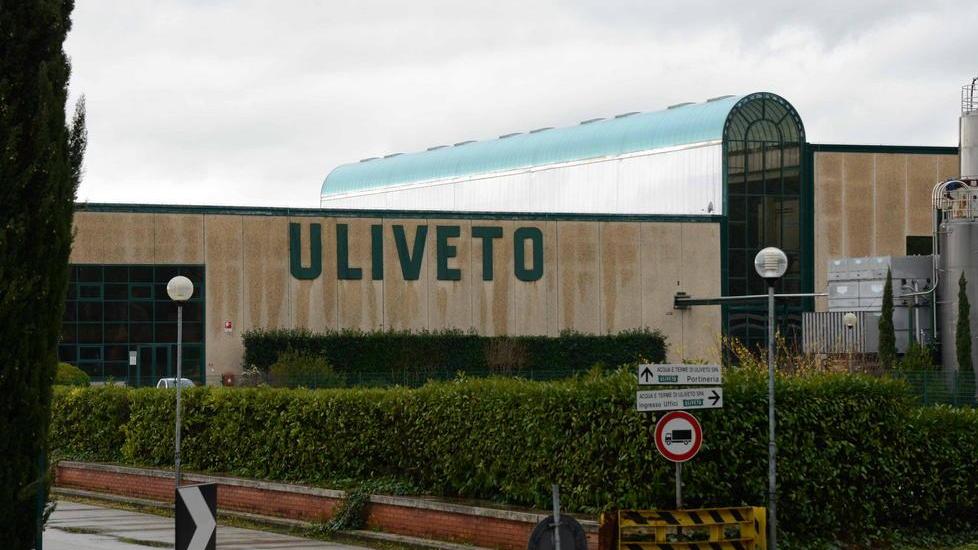 Uliveto in aiuto dei bimbi campani