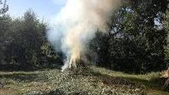 Fuochi nei boschi, tutte le regole