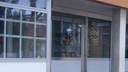 Scuola, i genitori vogliono contare