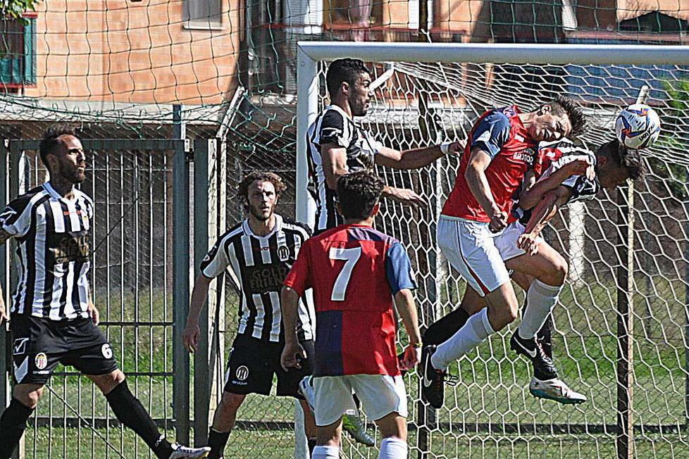 Il Volley Marina di Massa riparte dalla serie D