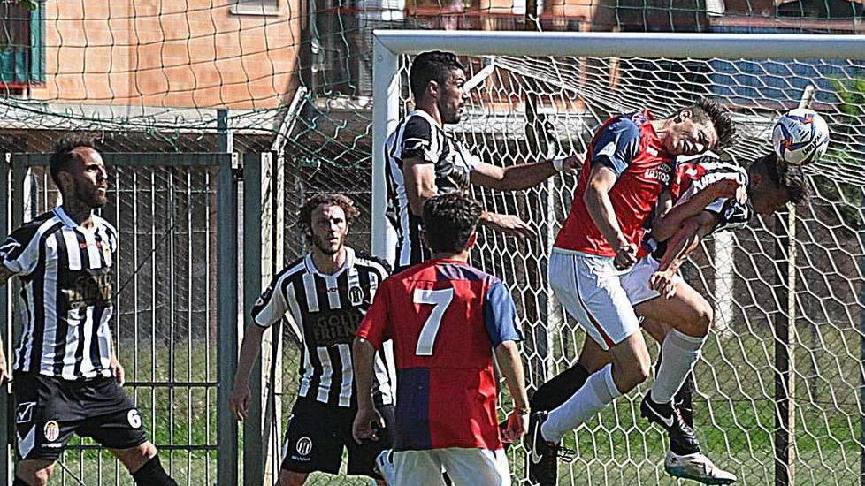 Il Volley Marina di Massa riparte dalla serie D