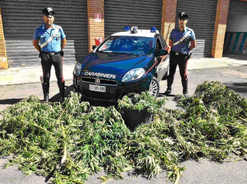 Lido Nazioni: padre, figlio e marijuana