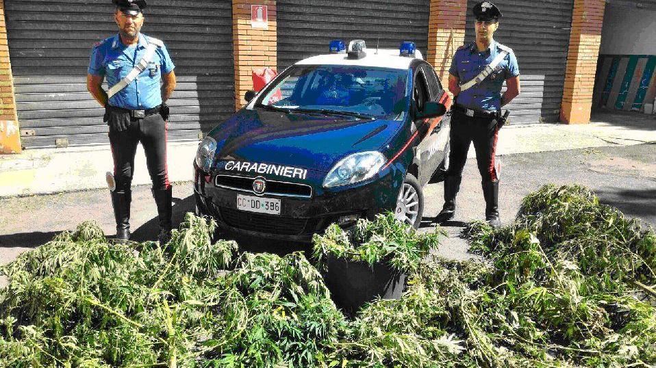 Lido Nazioni: padre, figlio e marijuana