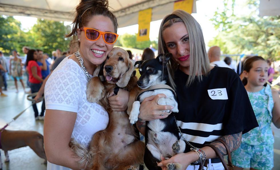 Al Ferrari un “giorno da cani” Sfilate e concorsi a 4 zampe