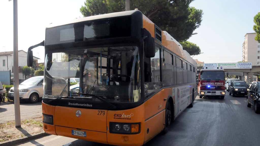 Una fermata del bus (foto d'archivio)