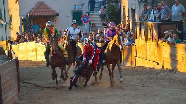 Il cavallo Montiego inciampa e il fantino Andrea Mari cade durante la "provaccia" del Palio di Castel del Piano, il 7 settembre