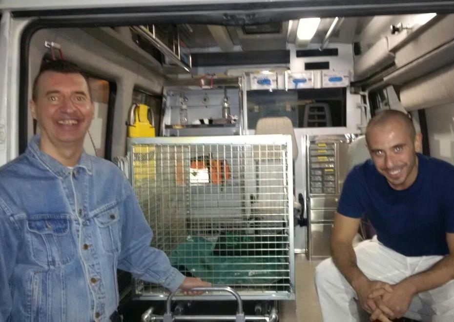 Il veterinario Giacomo Giromella nell’ambulanza veterinaria insieme al volontario Lorenzo Lombardi