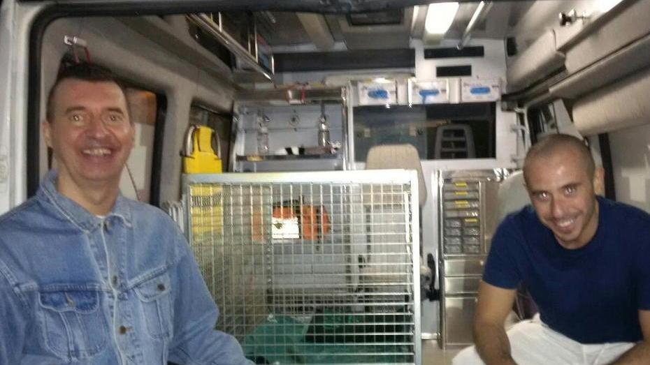 Il veterinario Giacomo Giromella nell’ambulanza veterinaria insieme al volontario Lorenzo Lombardi