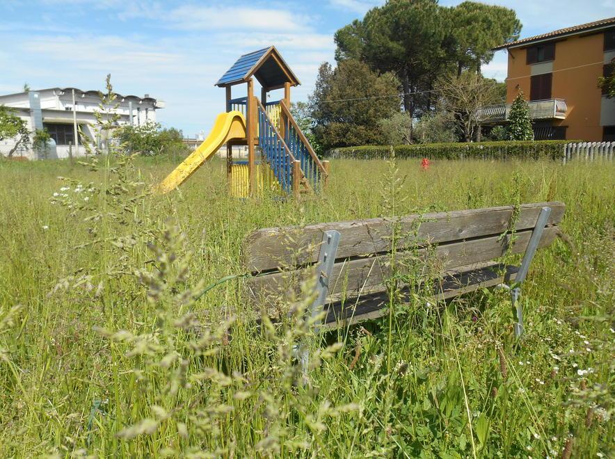 Il Comune cerca sponsor per la cura dei giardini 