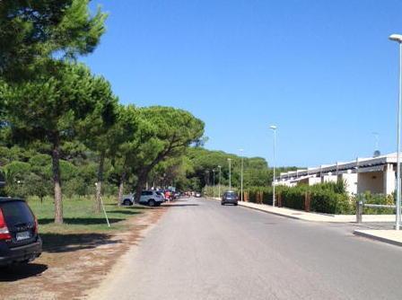 Colonie feline, sparite anche le offerte per i mici 