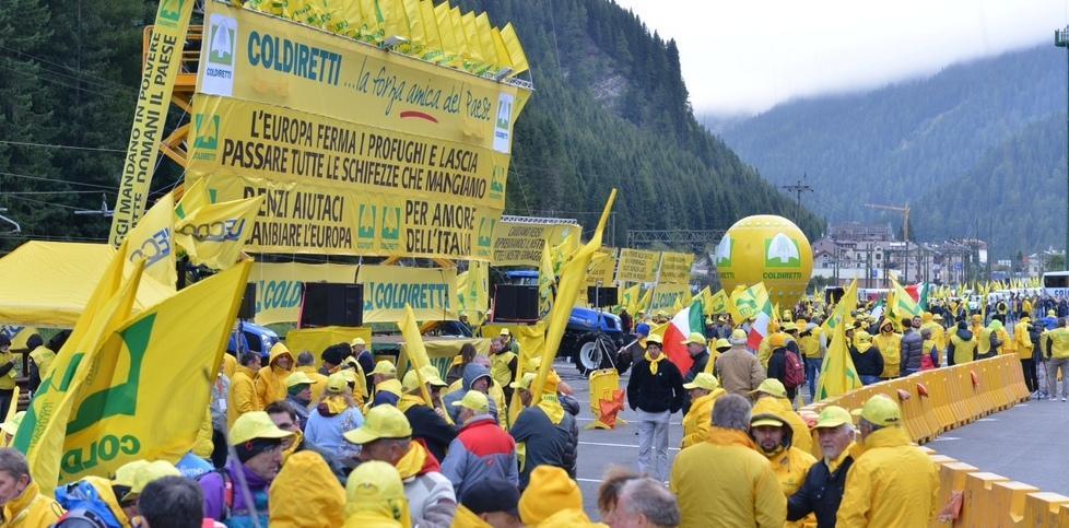 «Ue deve fermare i traffici di schifezze alimentari» 