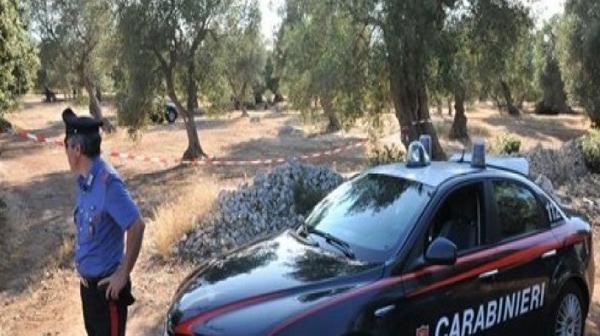 Scoperti 12 lavoratori in nero nelle campagne di Isili, Gergei, Serri e Villanova Tulo 