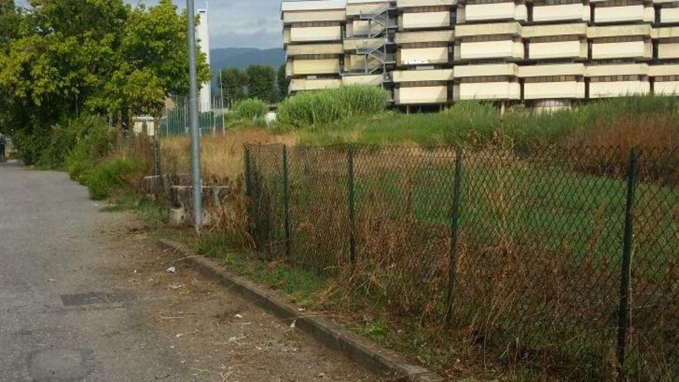 Dopo l’Sos il Comune pulisce in via Panconi