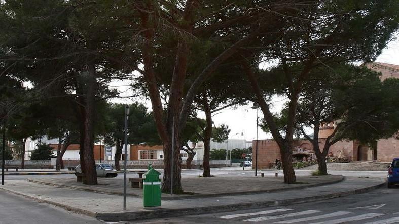 Alberi pericolanti nelle piazze