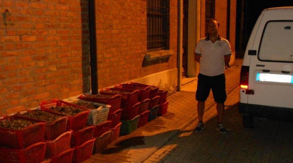 Abusivi pescano 6 quintali di vongole 