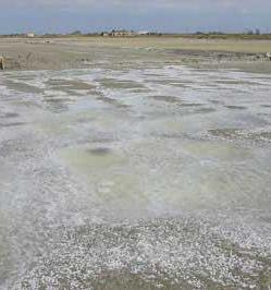 L’ultimo uomo della Salina si racconta 