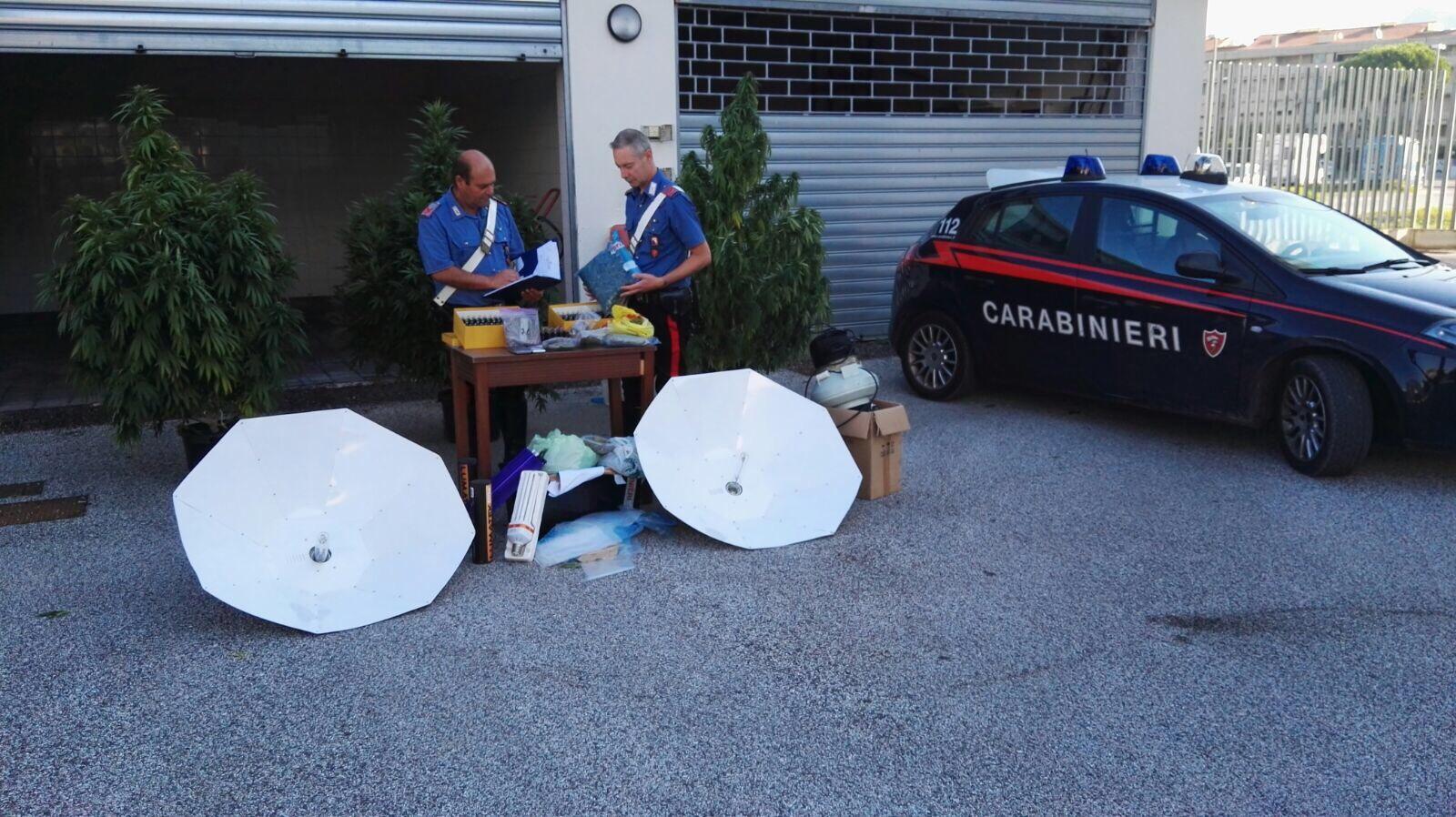 I carabinieri con le lampade sequestrate