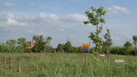 Parco Collodi a fine stagione rubato l’impianto stereo