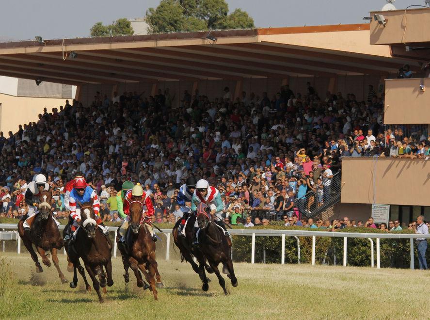 Attesa per il Gran premio dell’anglo-arabo 