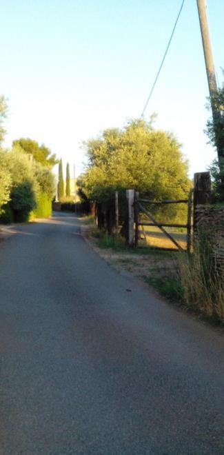 Vigilantes volontari contro i furti 