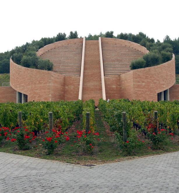 Vendemmia partita, le aziende sicure: «Una gran qualità» 