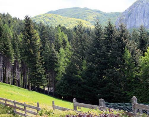 Più di cento insegnanti a “lezione” nel Parco