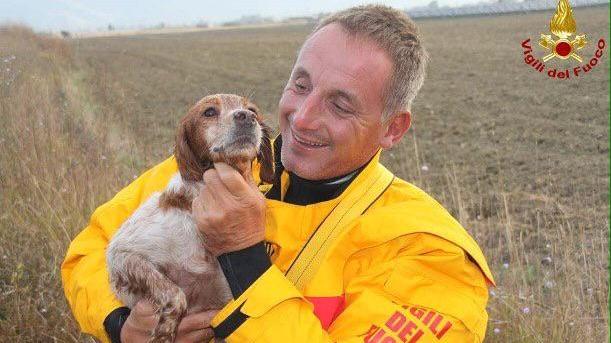 Ecco Lilla appena salvata dai vigili del fuoco